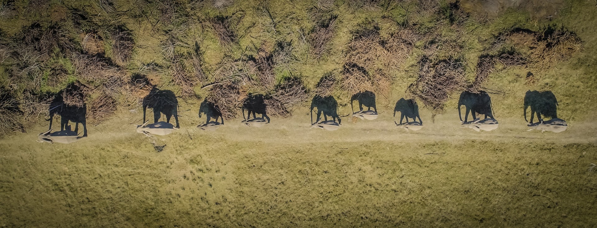 Monthly construction drone reports Cape Town project management